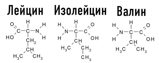 Формулы незаменимых аминокислот
